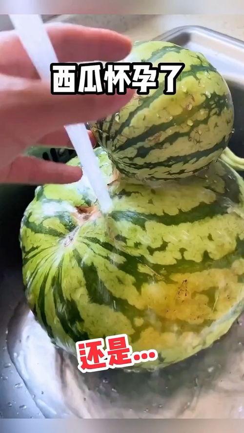 娱乐吃瓜用什么配音的